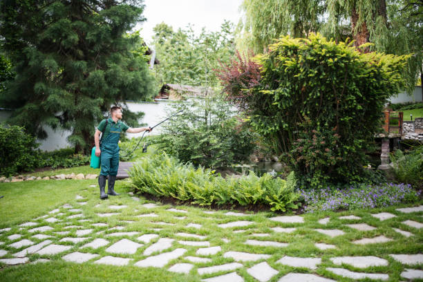 Organic Lawn Care Solutions in Platteville, CO